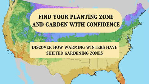 USDA Hardiness Zones: Why Your ZIP Code Dictates Plant Choices